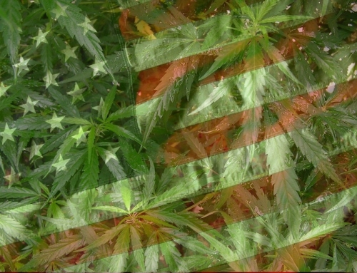 4th Of July Cannabis Celebration Tips