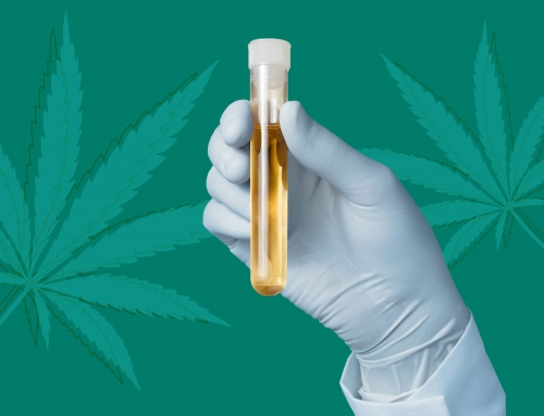 Why Should Your CBD Be Tested?