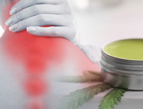 CBD for Pain: 2020 Study of 1,453 U.S. CBD Consumers