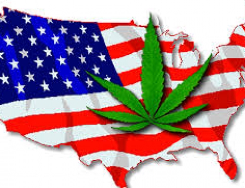 PRESS RELEASE: Cannabis Policy Reform Wins Big On Election Night as Five States Approve Ballot Initiatives